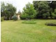 Manorina VIC 3889