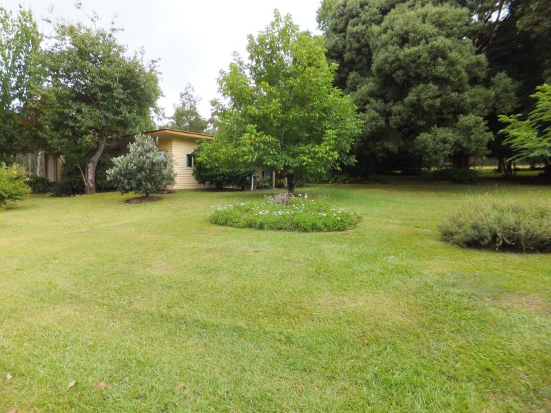 Manorina VIC 3889