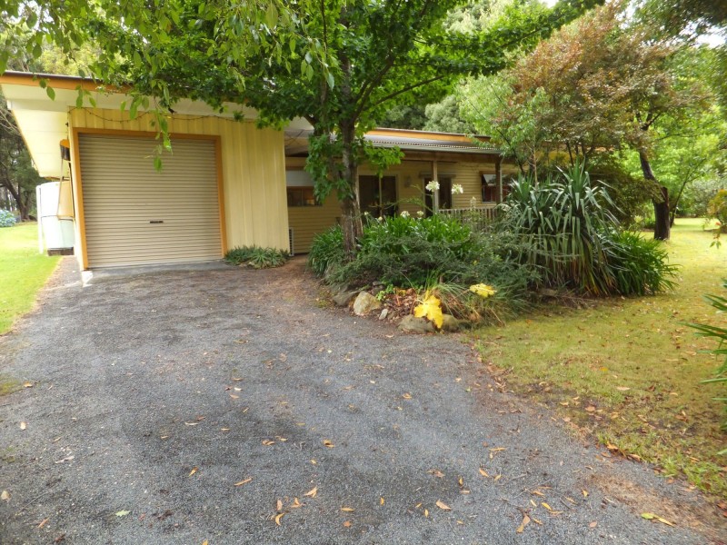 Manorina VIC 3889