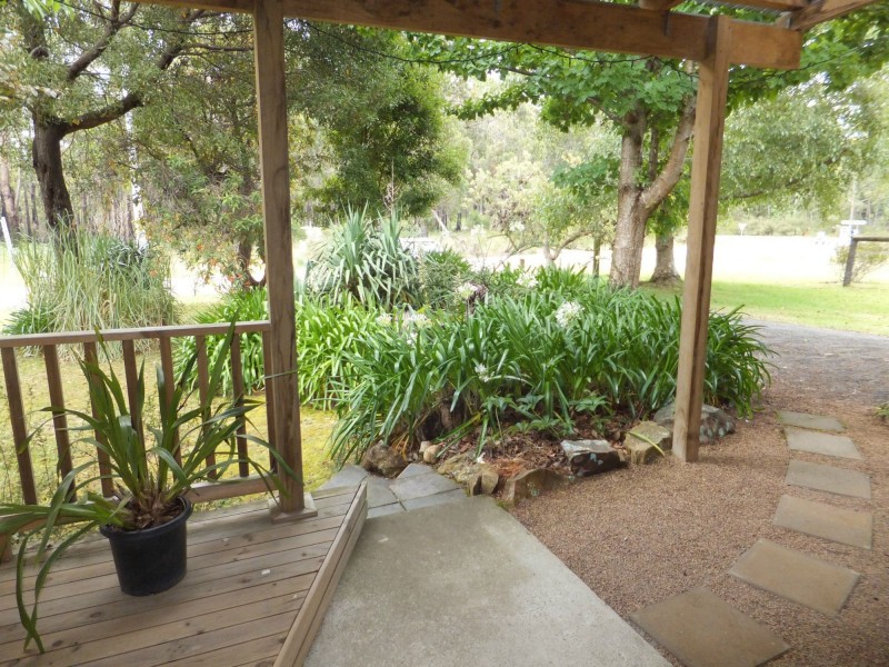 Manorina VIC 3889