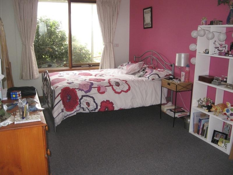 565 Buchan-Orbost Road, Orbost VIC 3888