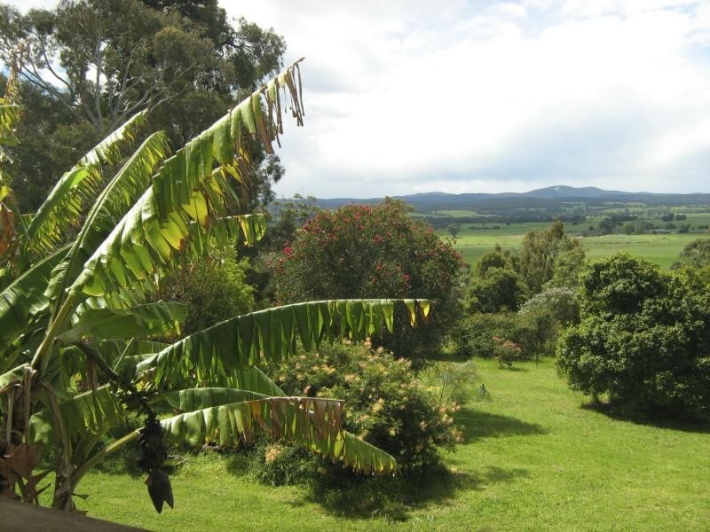 565 Buchan-Orbost Road, Orbost VIC 3888