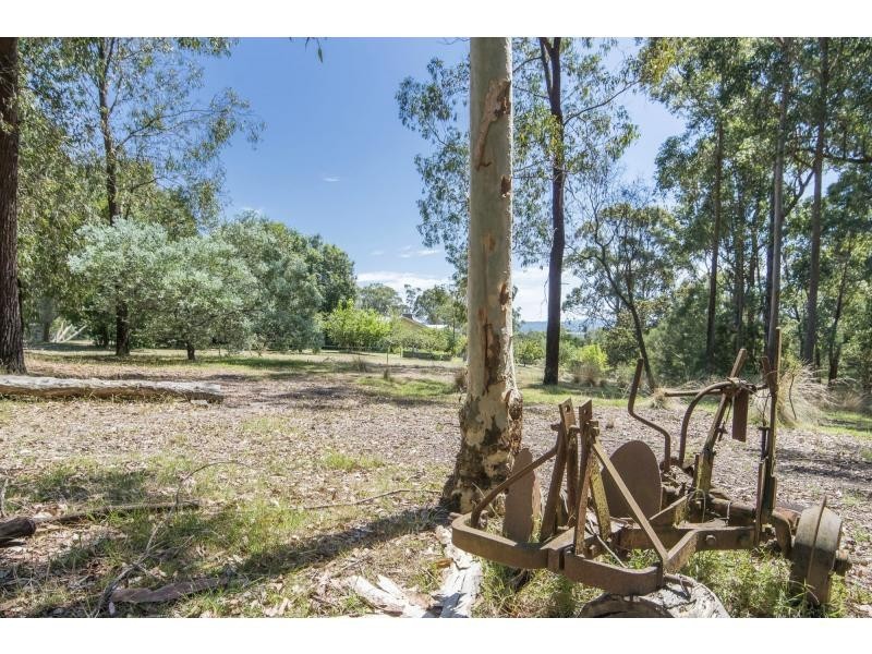 565 Buchan-Orbost Road, Orbost VIC 3888