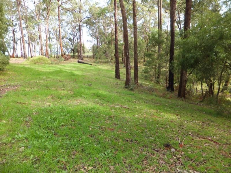 565 Buchan-Orbost Road, Orbost VIC 3888