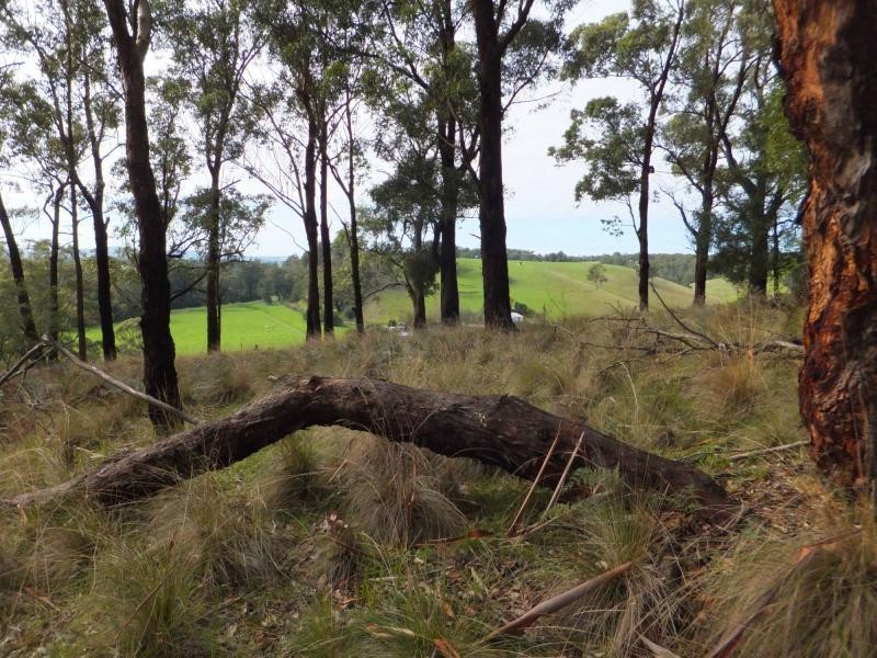 565 Buchan-Orbost Road, Orbost VIC 3888