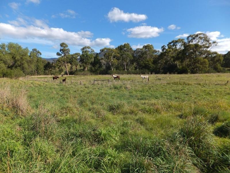 151 Swifts Creek East Road, Swifts Creek VIC 3896