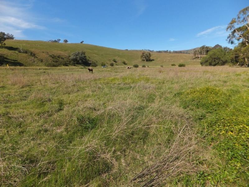 151 Swifts Creek East Road, Swifts Creek VIC 3896