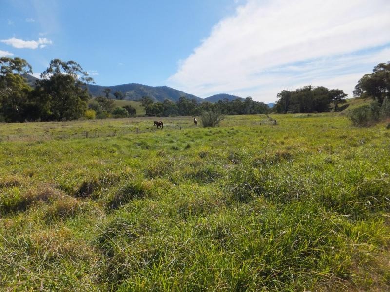 151 Swifts Creek East Road, Swifts Creek VIC 3896