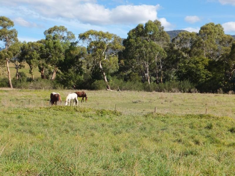 151 Swifts Creek East Road, Swifts Creek VIC 3896