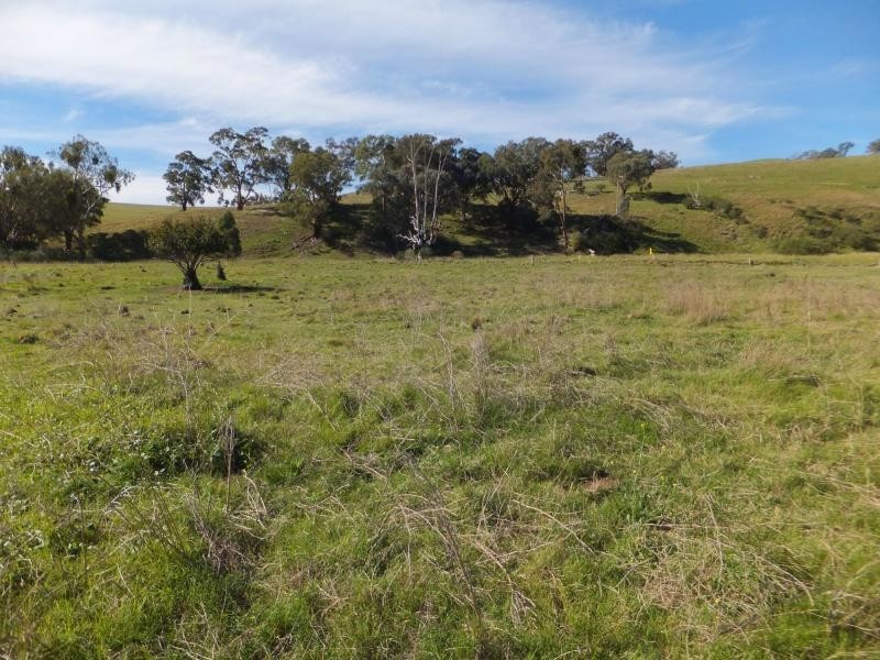 151 Swifts Creek East Road, Swifts Creek VIC 3896