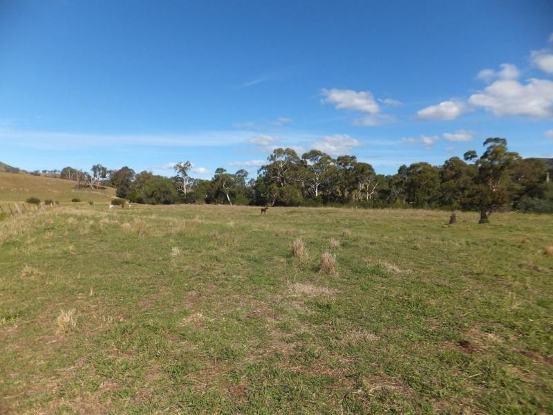 151 Swifts Creek East Road, Swifts Creek VIC 3896