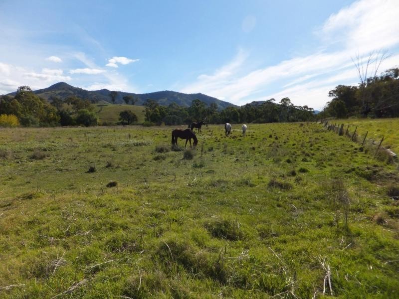 151 Swifts Creek East Road, Swifts Creek VIC 3896