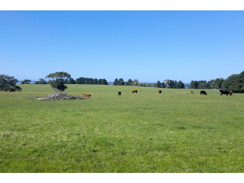 2 Butlers Point Drive, Newlands Arm VIC 3875