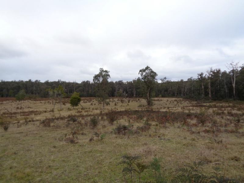 370 Bruthen Buchan Road, Nowa Nowa VIC 3887