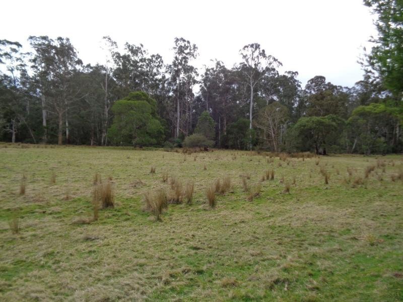 L2,5,6 & 7/ 370 Bruthen Buchan Road, Nowa Nowa VIC 3887