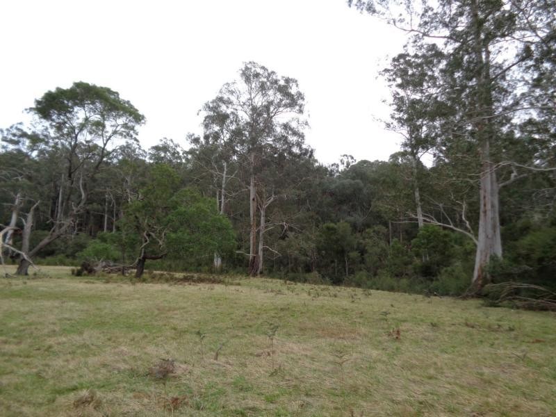 L2,5,6 & 7/ 370 Bruthen Buchan Road, Nowa Nowa VIC 3887