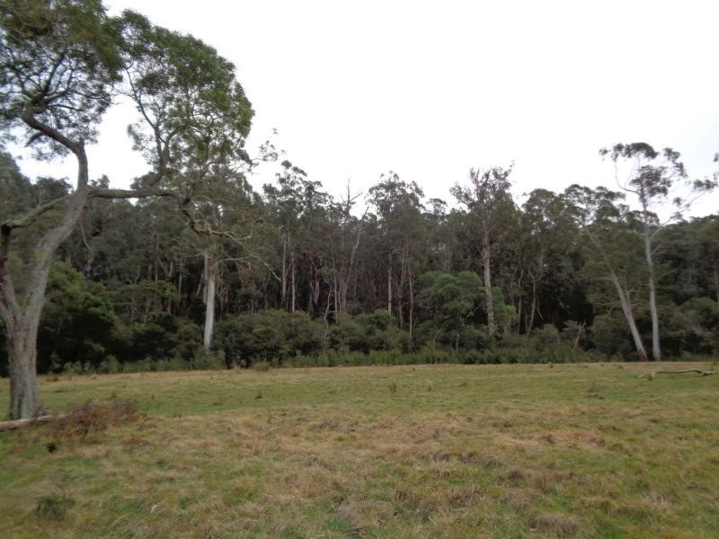 L2,5,6 & 7/ 370 Bruthen Buchan Road, Nowa Nowa VIC 3887