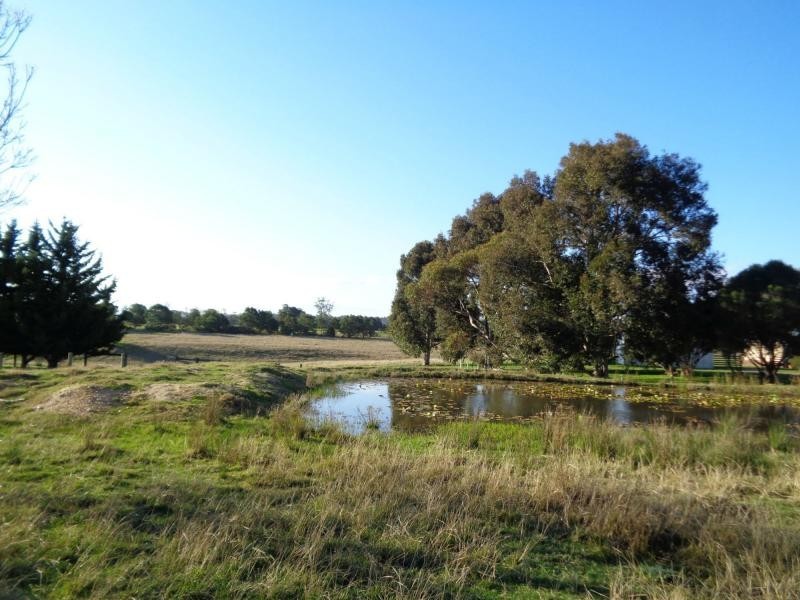 12 Paterson Court, Nicholson VIC 3882