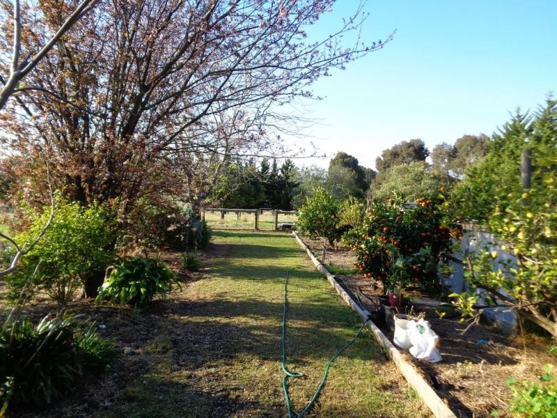 12 Paterson Court, Nicholson VIC 3882