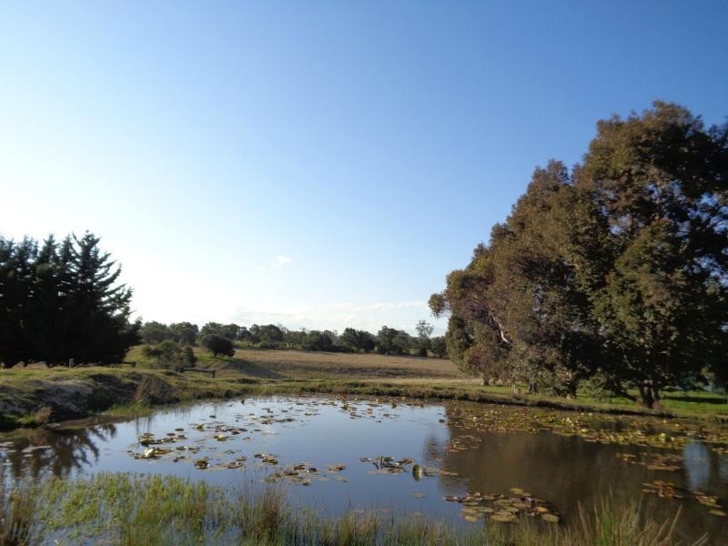 12 Paterson Court, Nicholson VIC 3882