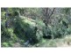 43 Johnsons Road, Bumberrah VIC 3902