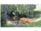 43 Johnsons Road, Bumberrah VIC 3902