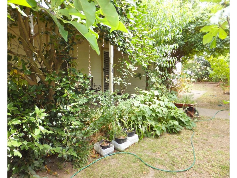 271 Nicholson Street, Orbost VIC 3888