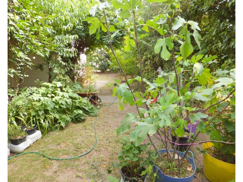 271 Nicholson Street, Orbost VIC 3888