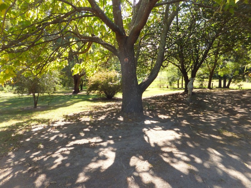 39 Irvines Road, Orbost VIC 3888