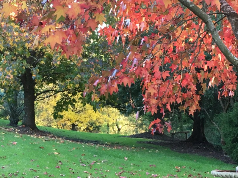 39 Irvines Road, Orbost VIC 3888