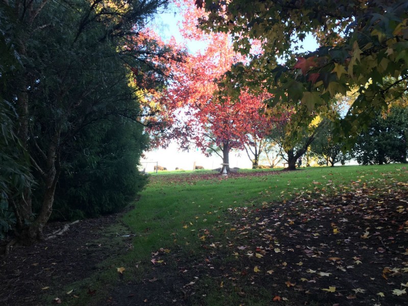 39 Irvines Road, Orbost VIC 3888