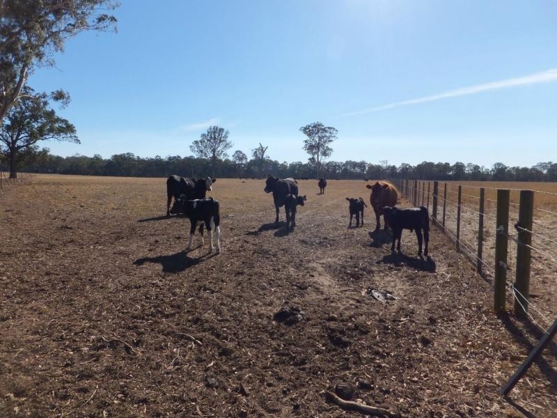 134 Bumberrah Road, Bumberrah VIC 3902