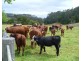 2825 Combienbar Road, Combienbar VIC 3889