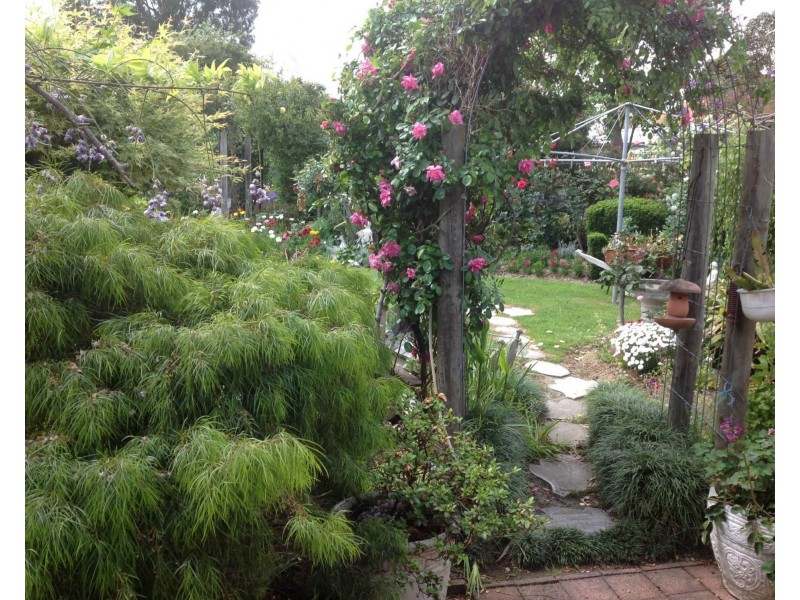 44 Gordon Street, Orbost VIC 3888