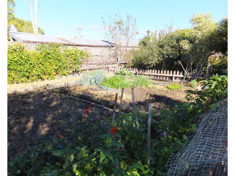 44 Gordon Street, Orbost VIC 3888