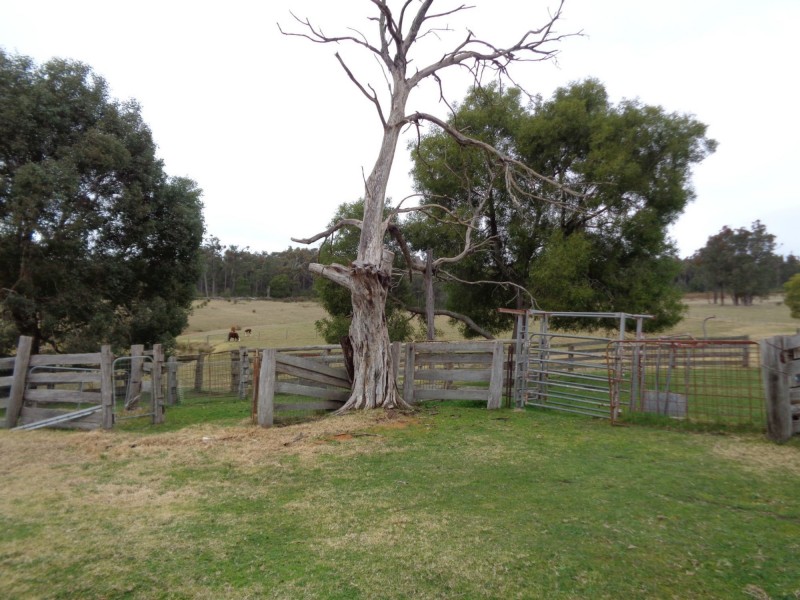 370 Bruthen Buchan Road, Nowa Nowa VIC 3887