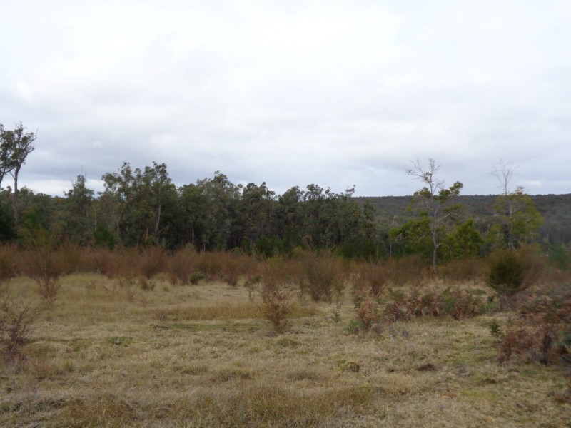 370 Bruthen Buchan Road, Nowa Nowa VIC 3887