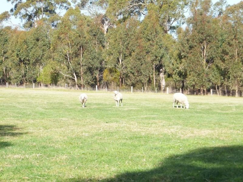 752 Duncan Road, Tambo Upper VIC 3885