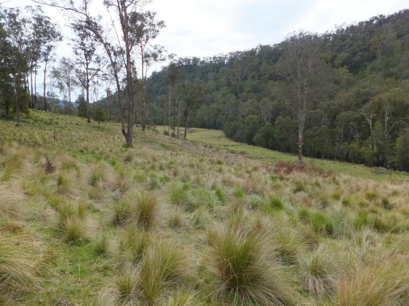 176 Hunter Lane, Buchan VIC 3885