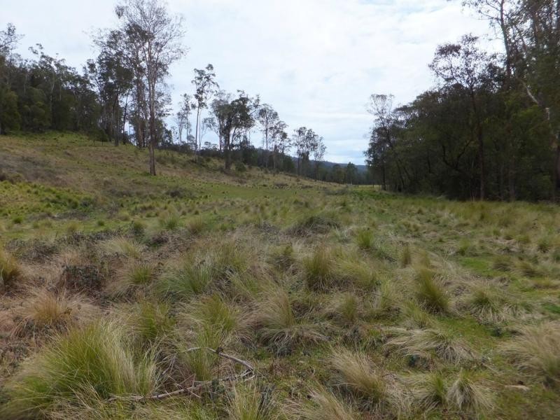 176 Hunter Lane, Buchan VIC 3885