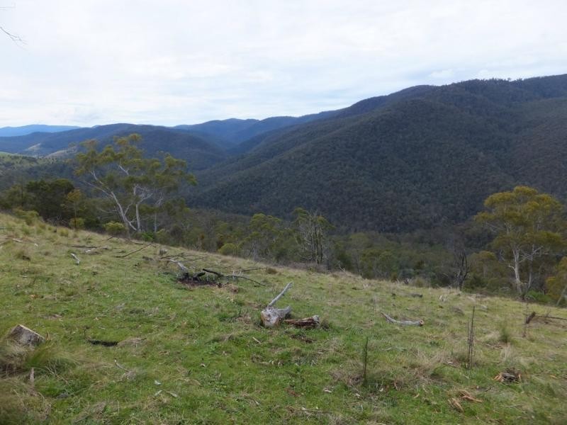 176 Hunter Lane, Buchan VIC 3885