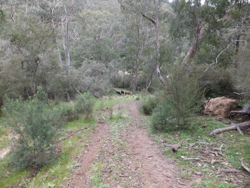 176 Hunter Lane, Buchan VIC 3885