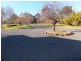 51 Boyd Ct, Eagle Point VIC 3878