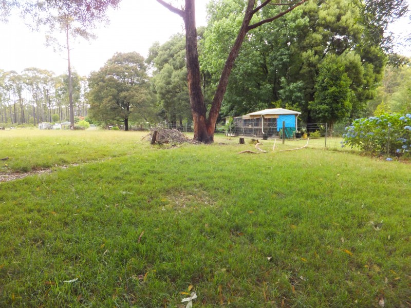 7 Sydenham Road, Orbost VIC 3888