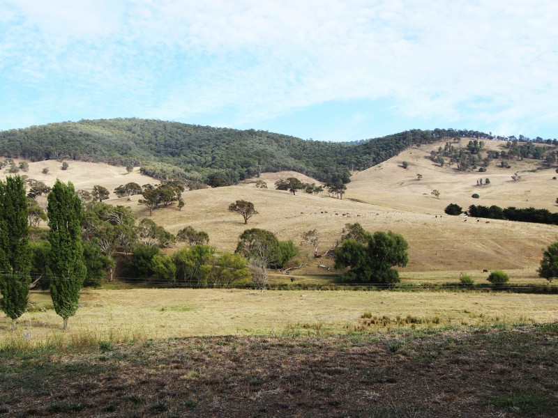 222 Omeo Hwy, Omeo VIC 3898