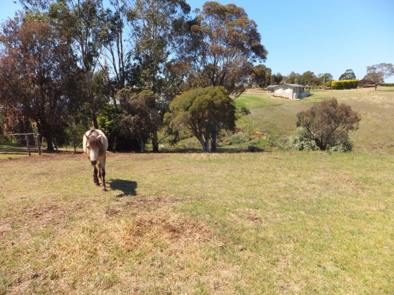 75 Tierney Street, Bairnsdale VIC 3875