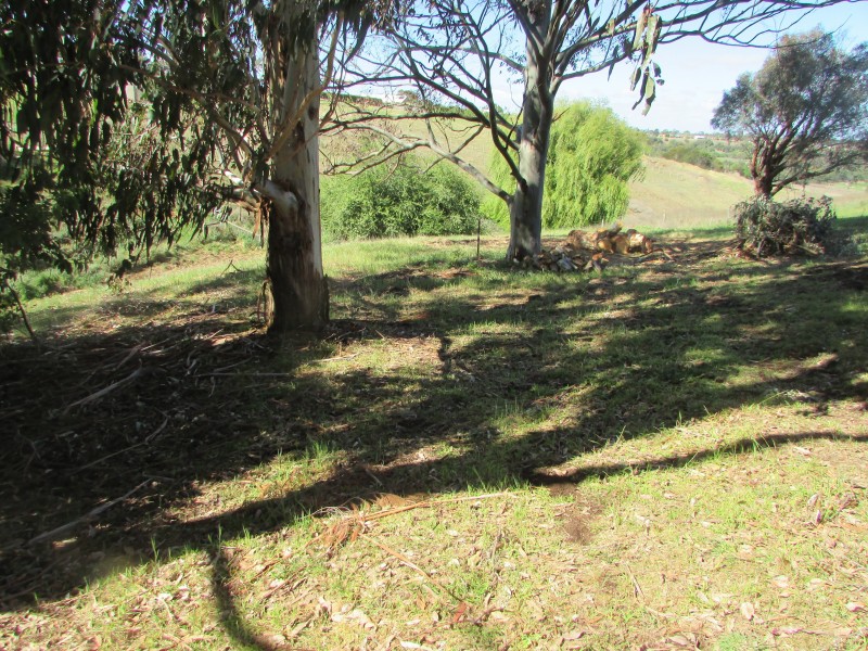 75 Tierney Street, Bairnsdale VIC 3875