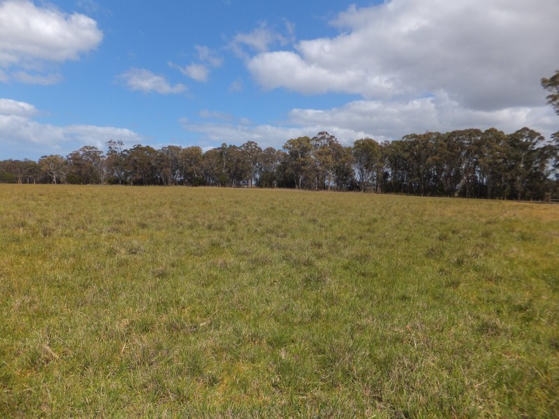 200 Bumberrah Road, Johnsonville VIC 3902
