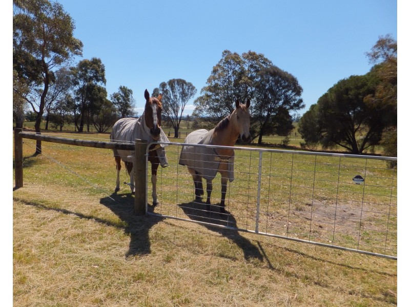 155 Kemptons Road, Lindenow South VIC 3875