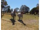 155 Kemptons Road, Lindenow South VIC 3875